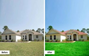professional color rectification services